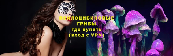 амф Балахна