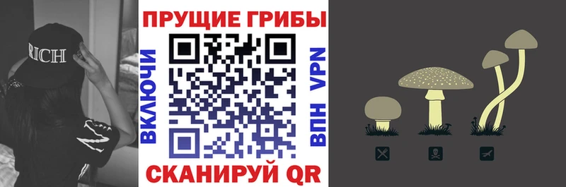 Псилоцибиновые грибы ЛСД Скопин